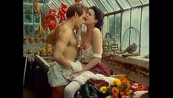 Lady Roxanne Ile Gül Serisini Keşfedin