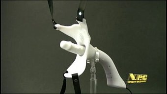 Japon Partner Aşık