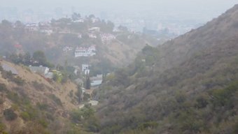 Vixen Angel Derlemesi - Vixen'Dan Ateşli Sahnelerden Oluşan Buharlı Bir Koleksiyon.