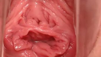 Amatör Çiftin Felaket Diy Seks Videosu