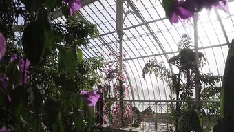 Elizabeth Debicki Ve Gemma Arterton, Duygusal Bir Lezbiyen Karşılaşmasında