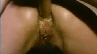 Vintage Bir Ortamda Klasik Irklararası Buluşma