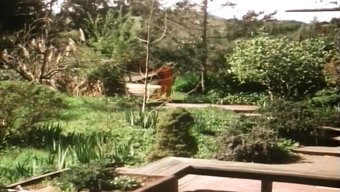 Efsanevi Gerard Damiano'Nun Yer Aldığı Klasik Bir Video Koleksiyonu