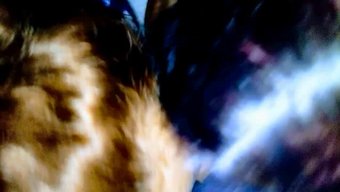 Büyük Siyah Yarrağı Olan Amatör Üçlü Ve Oral Seks