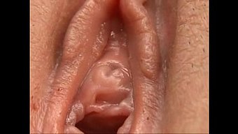 Sadece En Güzel Delikler Sert Bir Şekilde Becerilir