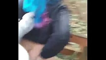 Monroe'Nun Açık Hava Maceralarını Arıyoruz