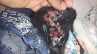 Prima, Dantelli Tanga Külotunu Giyip Kullanıp Kendini Sergiliyor.