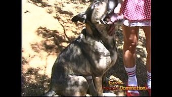 Dolgun Modeller, Açık Bdsm Sahnelerini Çekerken Keyif Alıyorlar