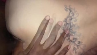 Ilk Kez Bir Pumayla, Brandi Love Olduğunu Düşündüm Ama Vahşi Kedi Ikizler Çıldırıyor.