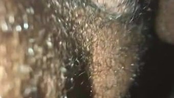 Büyük Siyah Yarak Şişman Siyah Siyah Ebanoya Giriyor