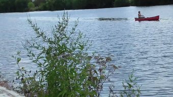 Göğüsleri Sergileyen Sergici Kızın Halka Açık Gösterisi