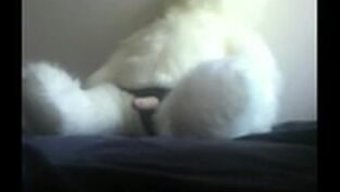 Oyunbaz Bir Ayı, Web Kamerasında Kızın Mastürbasyonunun Yakın Çekimini Alıyor.